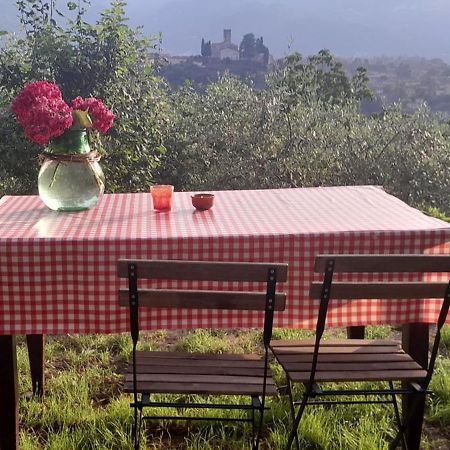 La Fatina Lodge Barga Kültér fotó