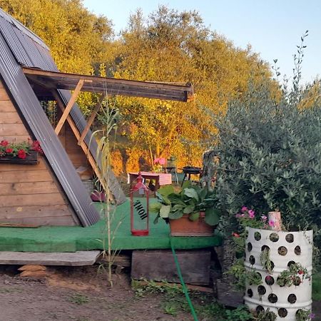 La Fatina Lodge Barga Kültér fotó