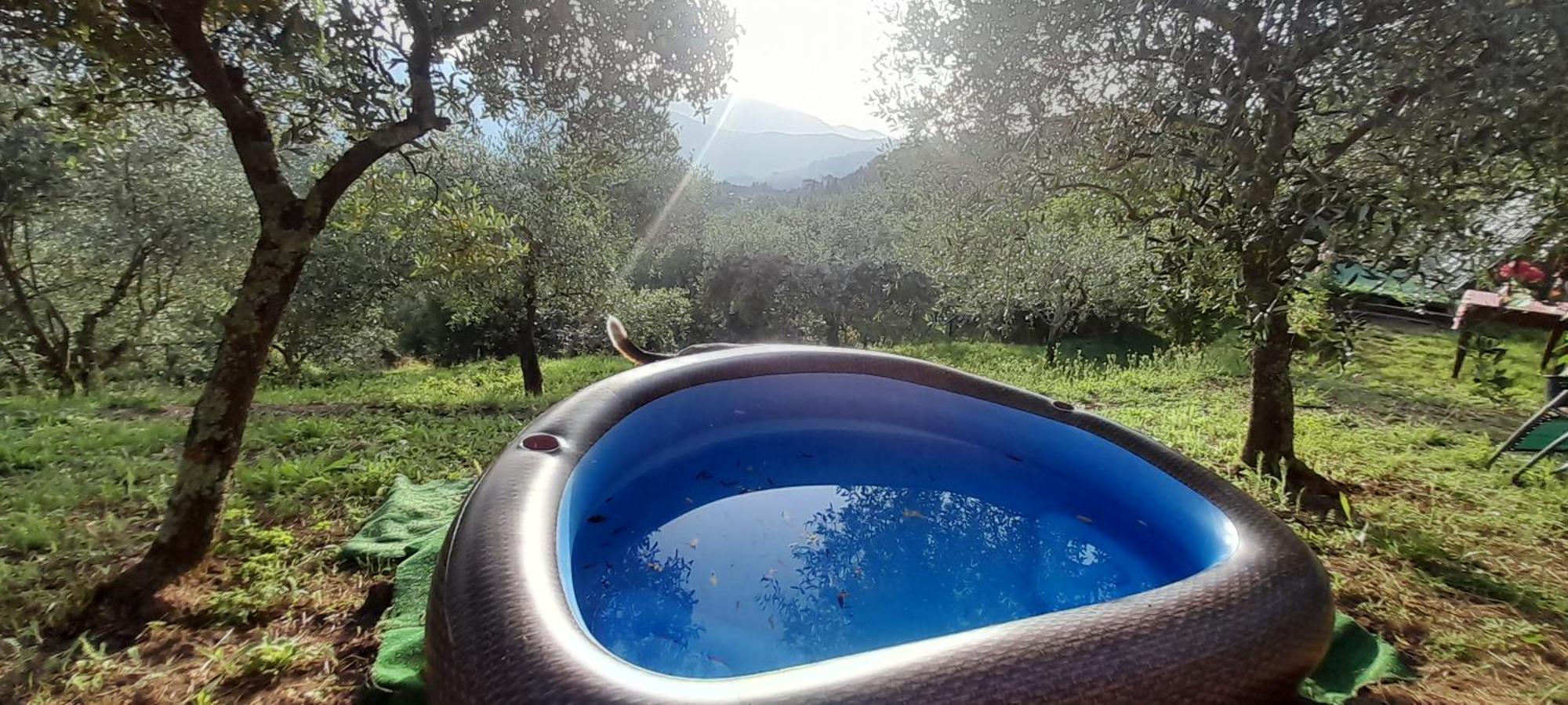 La Fatina Lodge Barga Kültér fotó