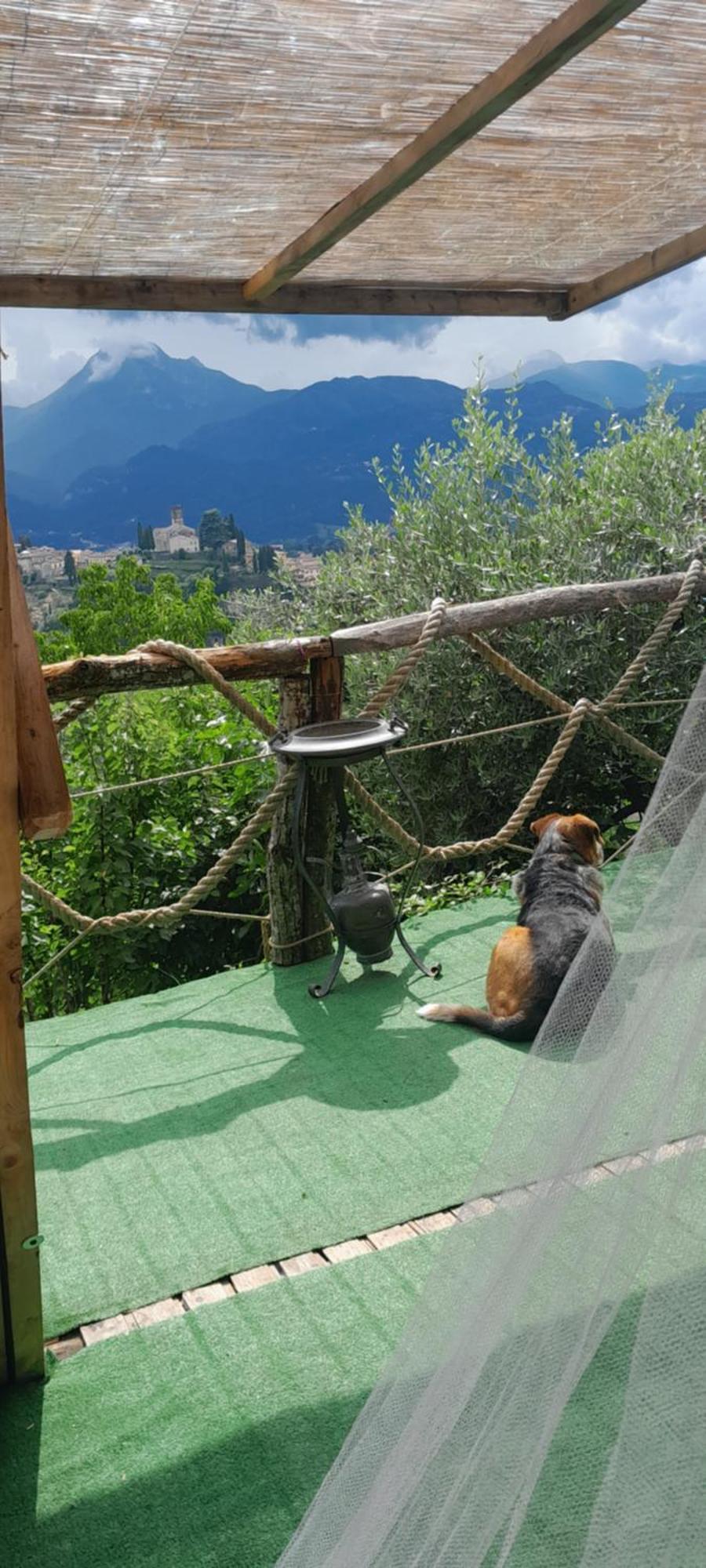 La Fatina Lodge Barga Kültér fotó